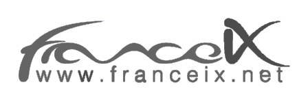 Logo France-IX grigio
