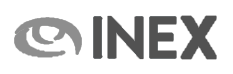 Logo INEX grigio