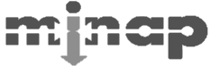Logo MINAP grigio