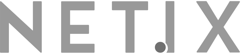 Logo NetIX grigio